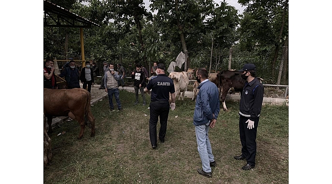 Kurban Satış Yerlerinde Denetim