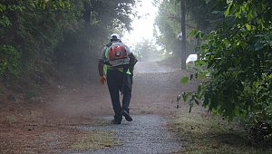 Serdivan Belediyesi'nden İlçeye Estetik Dokunuş