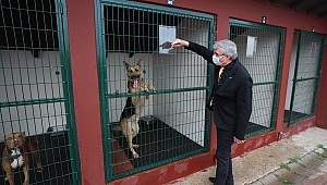 Başkan Yüce'den 'Satın alma sahiplen' çağrısı