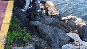 Büyükşehir temizlik çalışmalarını sürdürüyor