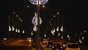 Lale motifli aydınlatmalarla estetik görünüm