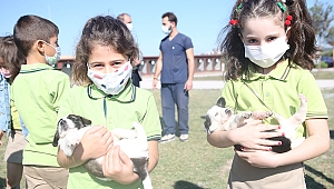 Miniklerden Hayvan Bakımevine Anlamlı Ziyaret