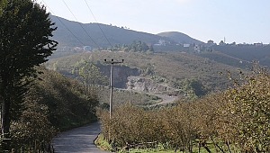 Şehrin kuzeyinde asfalt çalışmaları devam ediyor