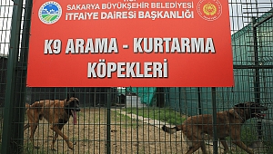 K9'lar arama kurtarma çalışmaları için İzmir'e gidiyor