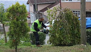 Mahallelerde Kış Temizliği
