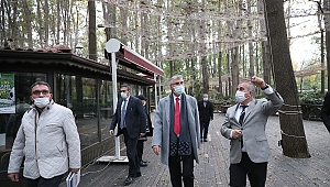 Orman Park'ta restorasyon çalışmaları devam ediyor