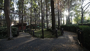 Orman Park yenileniyor