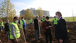 Serdivan'da Meyve Bahçeleri