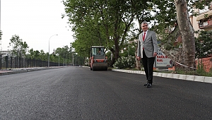 20 ayda 700 bin ton asfalt