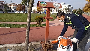 Kısıtlamalarda Sokak Hayvanları Unutulmadı