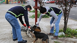 Serdivan Belediyesi'nden Yeni Yıl Tedbirleri