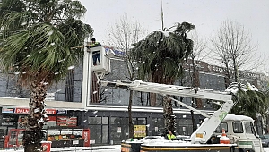 Büyükşehir karla mücadeleyi sürdürüyor