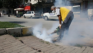 Akyazı’da İlaçlama Çalışmaları Aralıksız Sürüyor