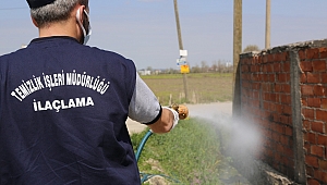 Serdivan'da İlaçlama Çalışmaları Aralıksız Devam Ediyor