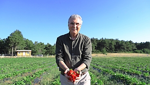 Üreten, Kazanan Ve Kazandıran Tarım Şehri Sakarya