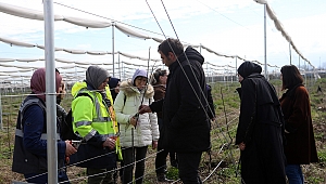 Büyükşehir Çalışanlarına Tarımsal Eğitim