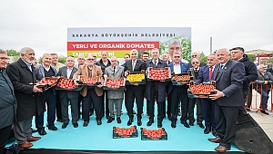 Büyükşehir’in Yerli Ve Organik Domatesleri Sakarya Halkıyla Buluştu