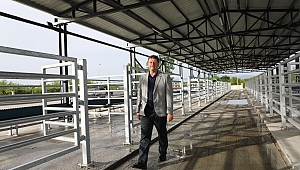 Mezbaha ve Canlı Hayvan Borsası Açılıyor