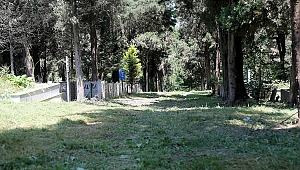 Büyükşehir Mezarlıkları Bayrama Hazırlıyor