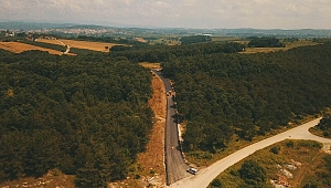 Ferizli Belediyesi, Sorunlu Yolu Asfaltlıyor