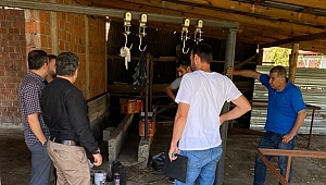 Serdivan'da Kurban Bayramı Öncesi Zabıta Denetimi