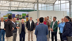 STK Temsilcileri Büyükşehir’in Projelerini Yerinde Gördü