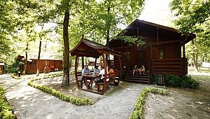 Büyükşehir'in Orman Evleri Türkiye'yi Hayran Bıraktı