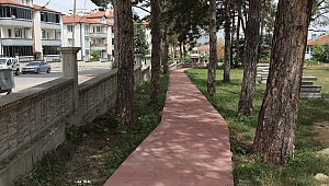 Çamlık Park’ta Çalışmalar Devam Ediyor.