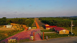 Cennet Vadisi’nde ‘Mor’ Şölen