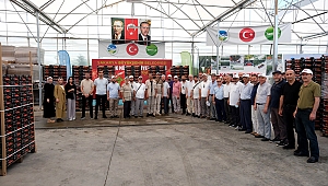 Konfederasyon Üyelerinden Büyükşehir'in Dev Tarım Projelerine Tam Not