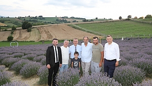 Sözlerimizi Tutuyoruz