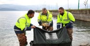 10 Kiloluk Sazanlar Doğal Güzelliği Koruyacak