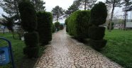 Akyazı Belediyesi Park Ve Bahçeleri Güzelleştiriyor