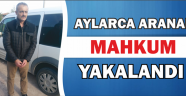 Aylarca Aranan Mahkum Yakalandı