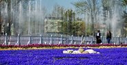 Bahar Kent Park’a Renk Kattı