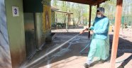 Barınak Dezenfekte Ediliyor