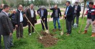 Ferizli Belediyesi Orman Haftasını Fidan Dikimi ile Kutladı