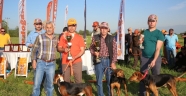 Fermalı Av Köpekleri Yarışması Şölen Havasında Geçti