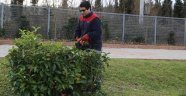 Fidan Ekimi Ve Budama Çalışmaları Devam Ediyor