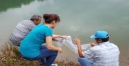 Geyve'de Göletler Balıklandı
