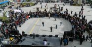 Hamsi Festivali Arifiye'de Gerçekleşti