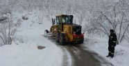 Hendek’te Karla Mücadele