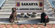Jandarmadan Uyuşturucu Baskını