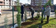“Karasu Belediyesi Ağaçlandırma Çalışmalarına Önem Veriyor”
