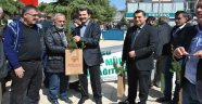 Kocaali'de Fidan Dağıtıldı