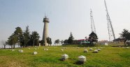 Maltepe Park’ta Çalışmalar Başladı