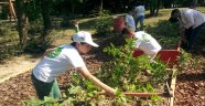 Minik Çiftçiler İş Başında