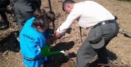Minik Temacıların Ağaç Dikimi 