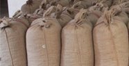 Sakarya’da 11 Çuval Fındık Çalındı