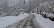 Sapanca'yı Yoğun Kar Etkilemedi